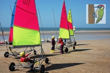 Strandzeilen