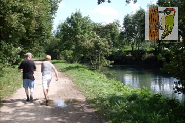 Wandelen