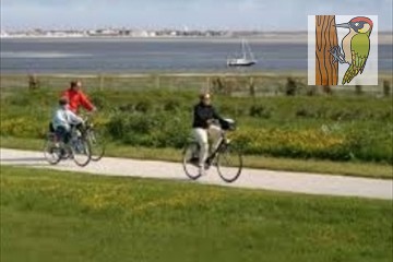 Fietsen