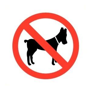 Animaux